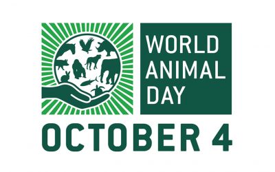 Állatok Világnapja – 2020. október 4.